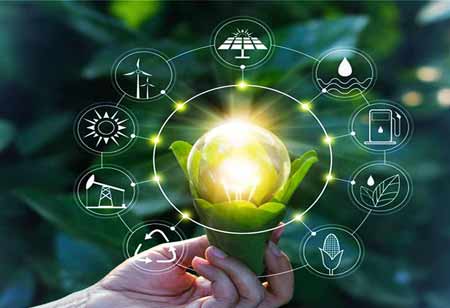 Embracing the Complementary Strengths of Libraries and E-books