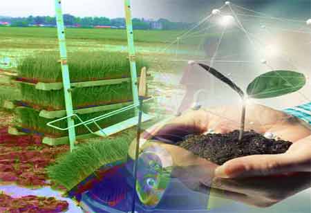 E-Learning: A Revolution In Learning